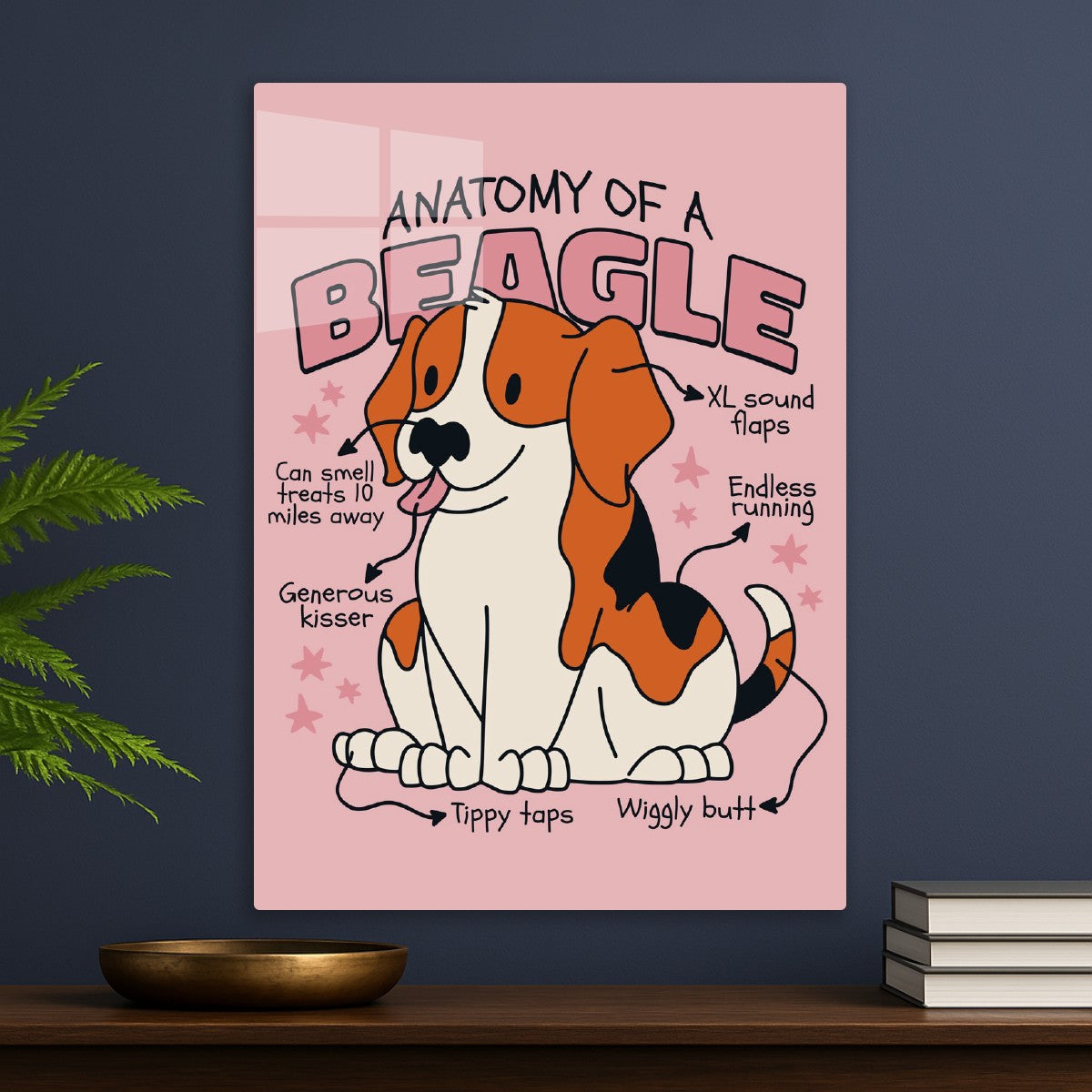 Anatomy of a Beagle Dog 
