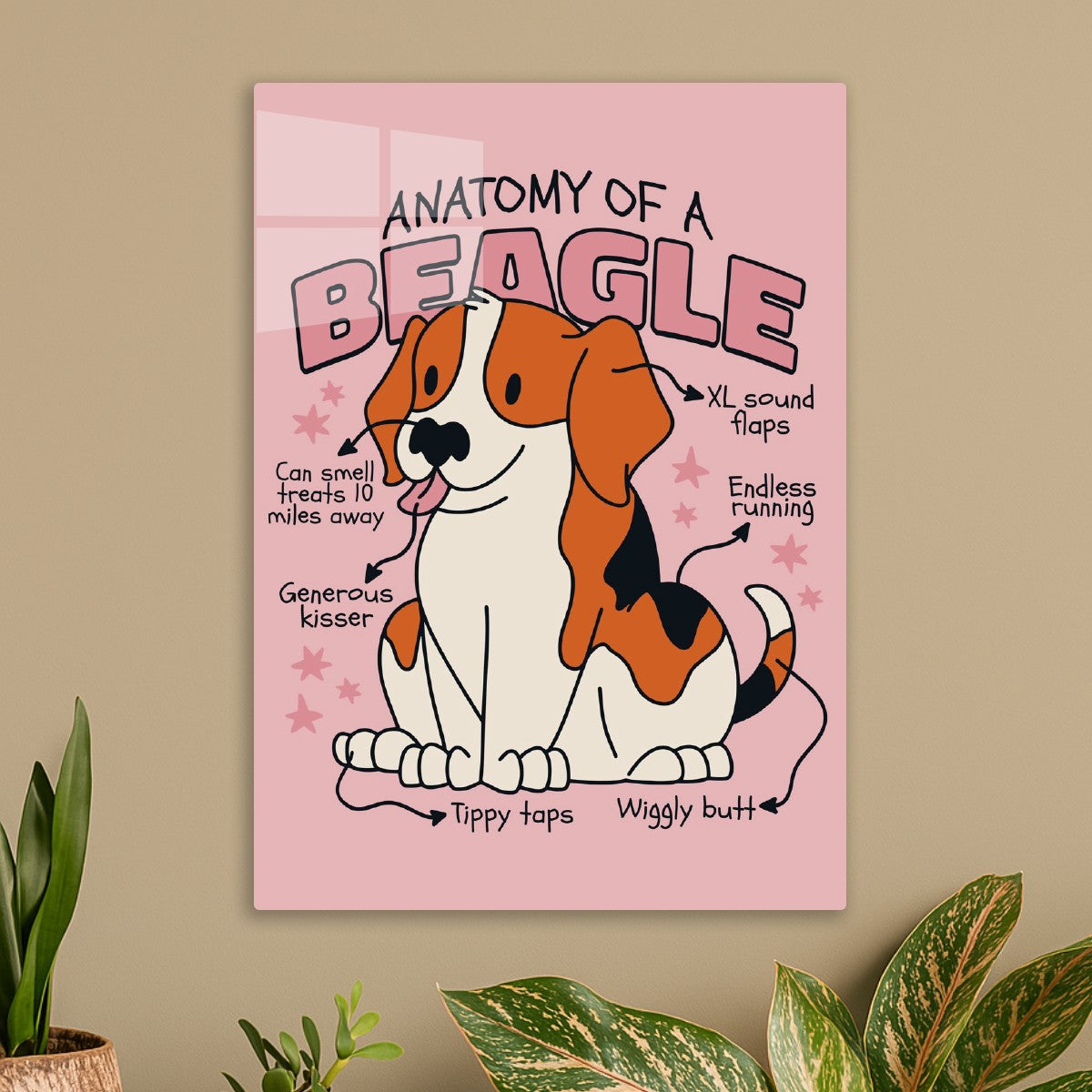 Anatomy of a Beagle Dog 