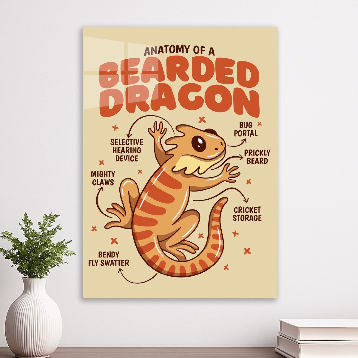 Bearded Dragon Anatomy