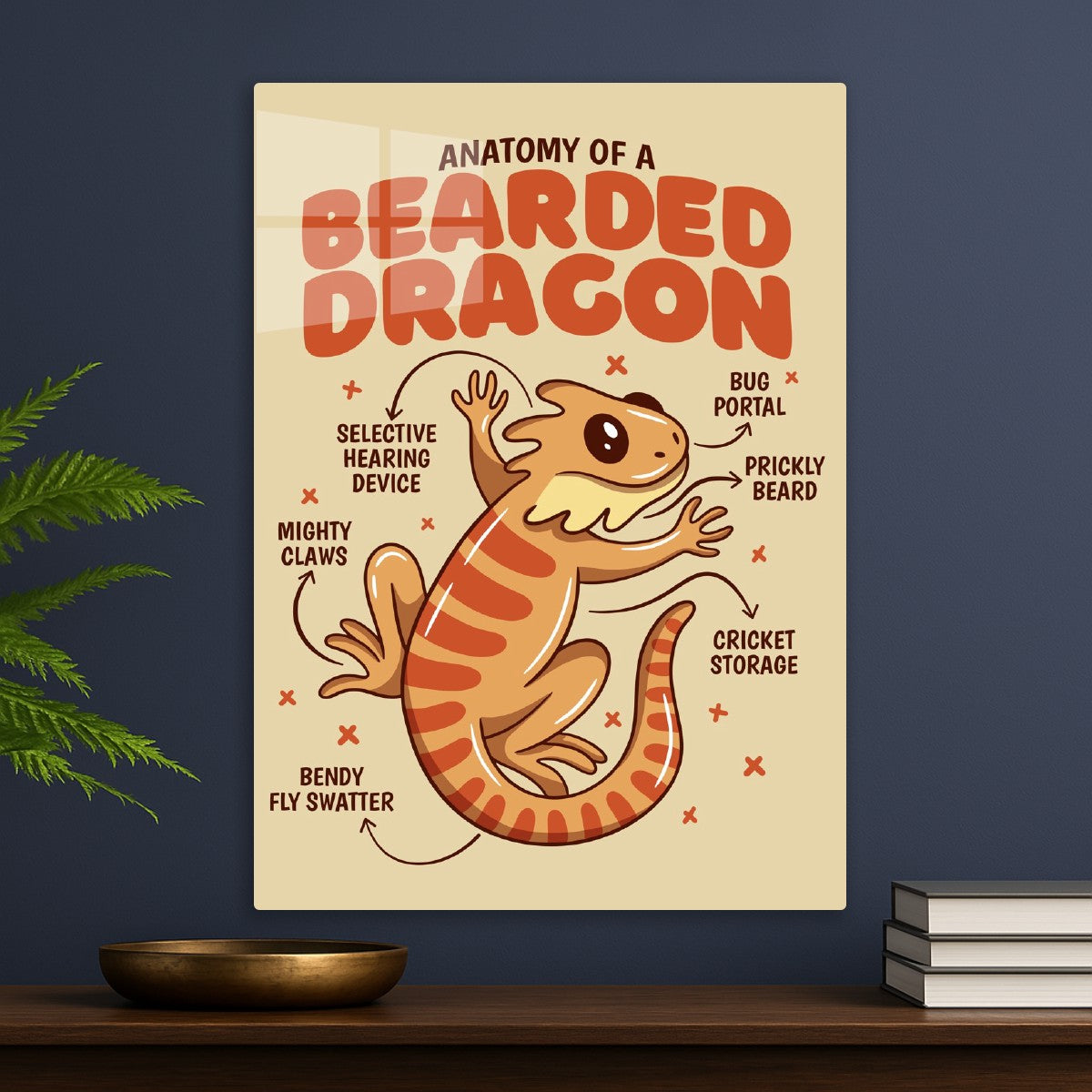 Bearded Dragon Anatomy