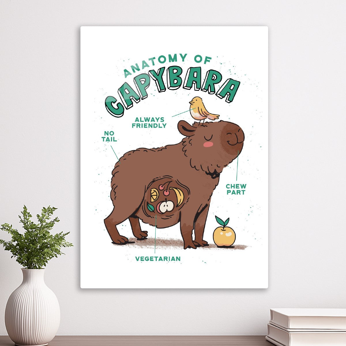 Capybara Anatomy