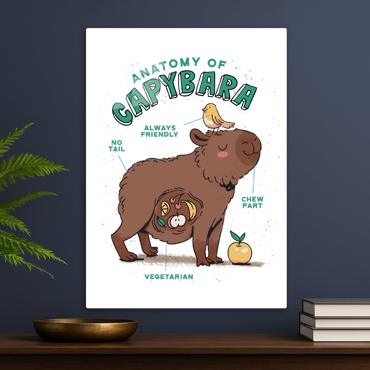 Capybara Anatomy