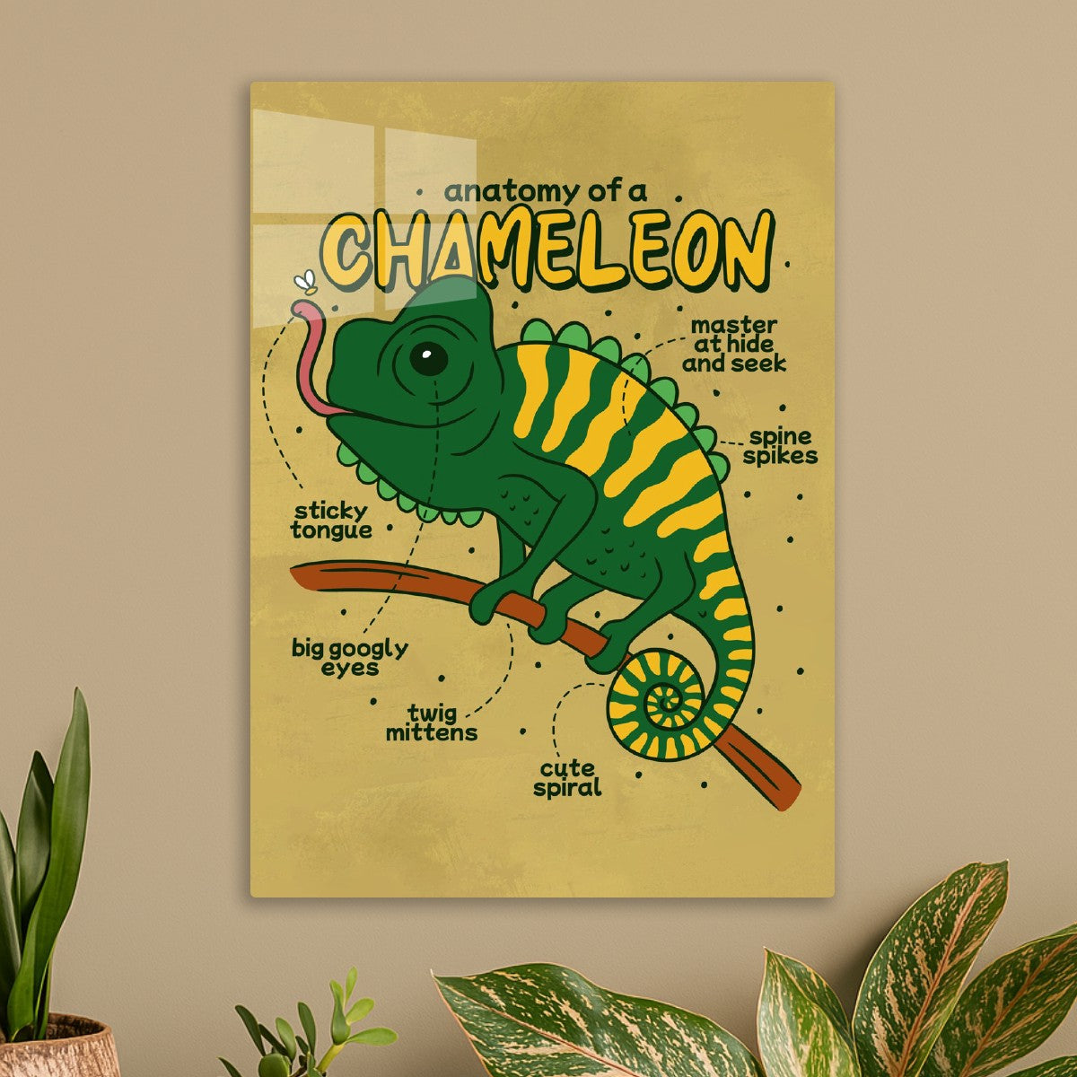 Chameleon Anatomy Cute Lizard