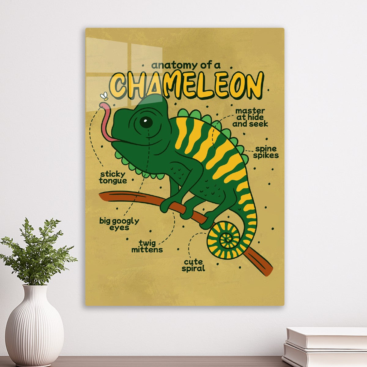 Chameleon Anatomy Cute Lizard