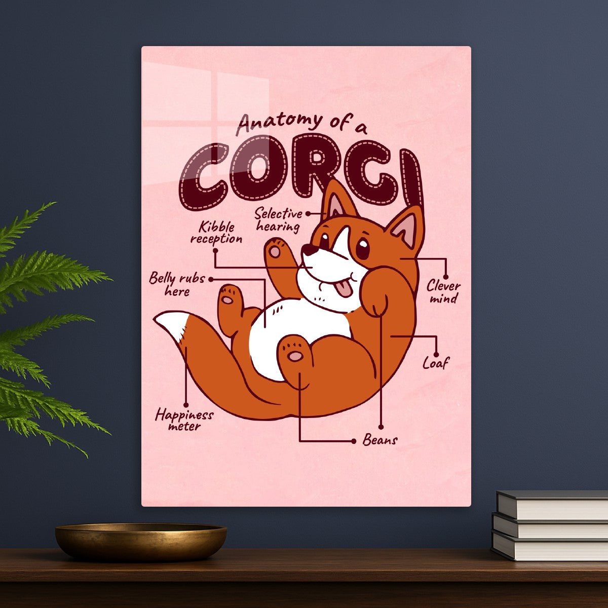 Corgi Anatomy 