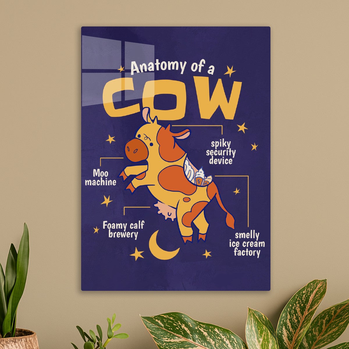 Funny Cow Anatomy 