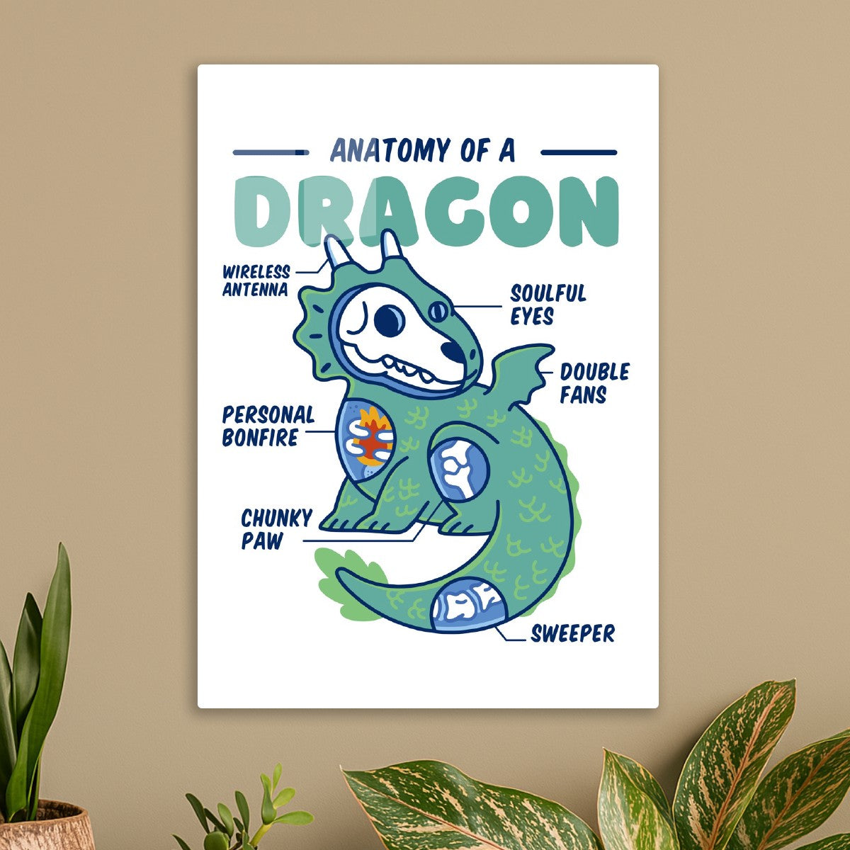Dragon Anstomy