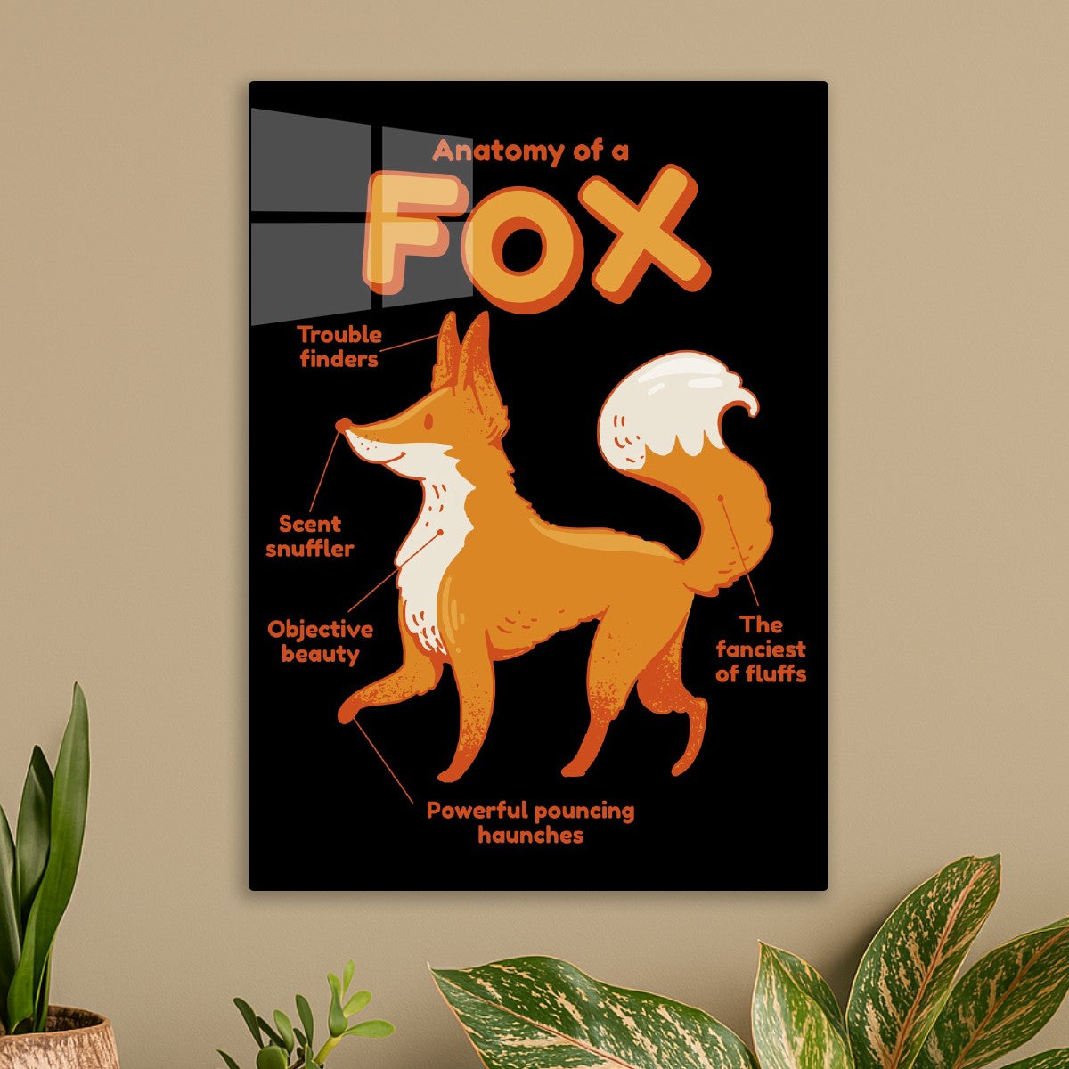 Sly Fox Anatomy