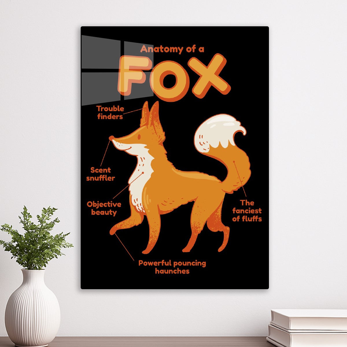 Sly Fox Anatomy