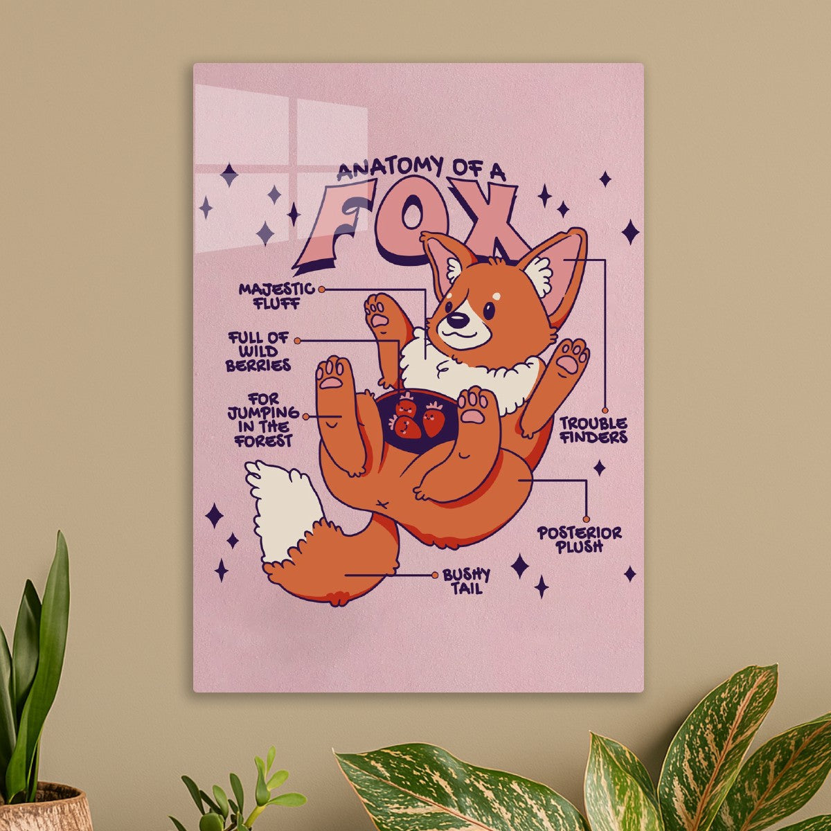 Kawaii Fox Anatomy