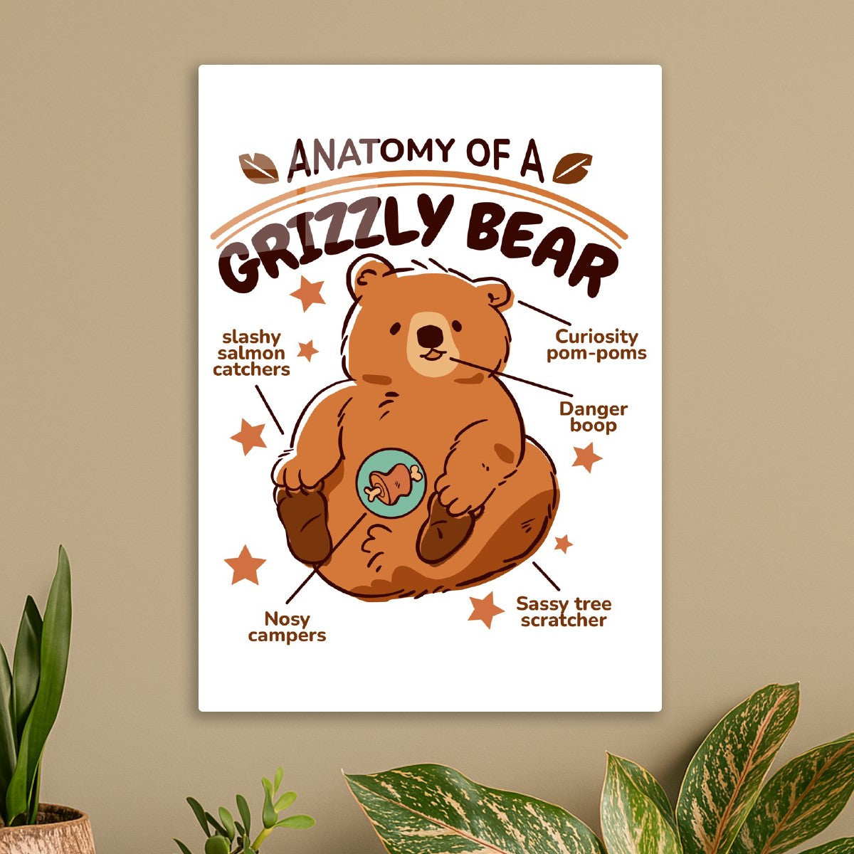 Grizzly Bear Cute Anatomy