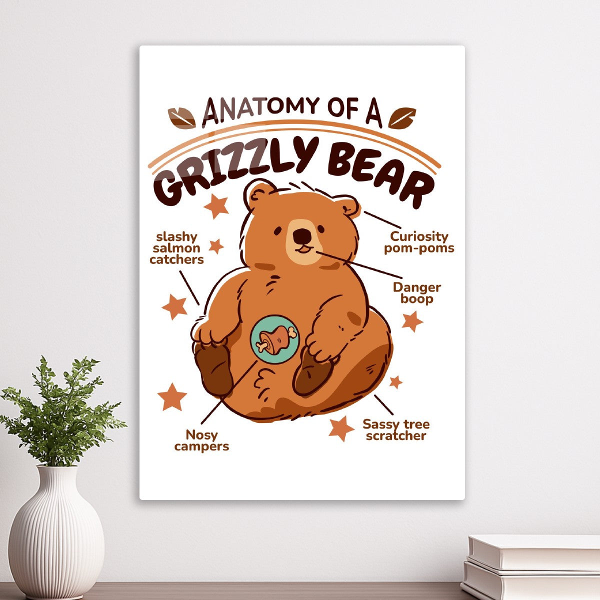 Grizzly Bear Cute Anatomy