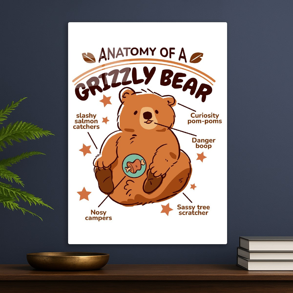 Grizzly Bear Cute Anatomy