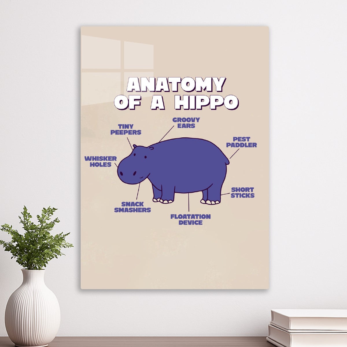 Hippo Anatomy