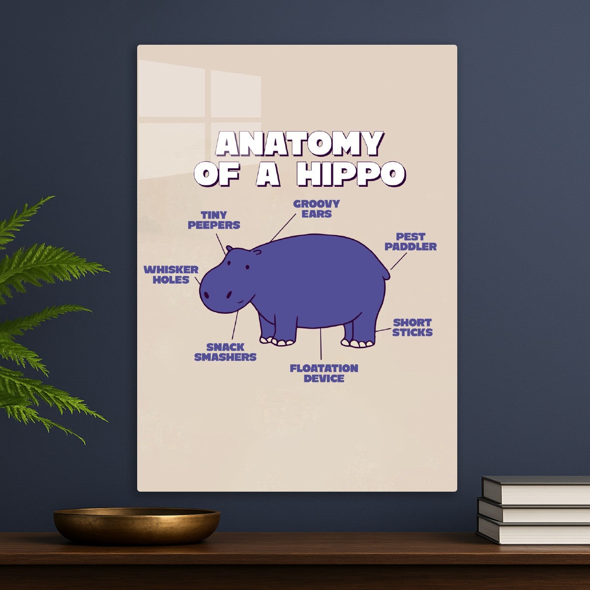 Hippo Anatomy
