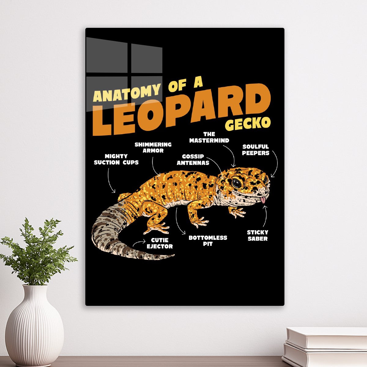 Leopard Gecko  Anatomy