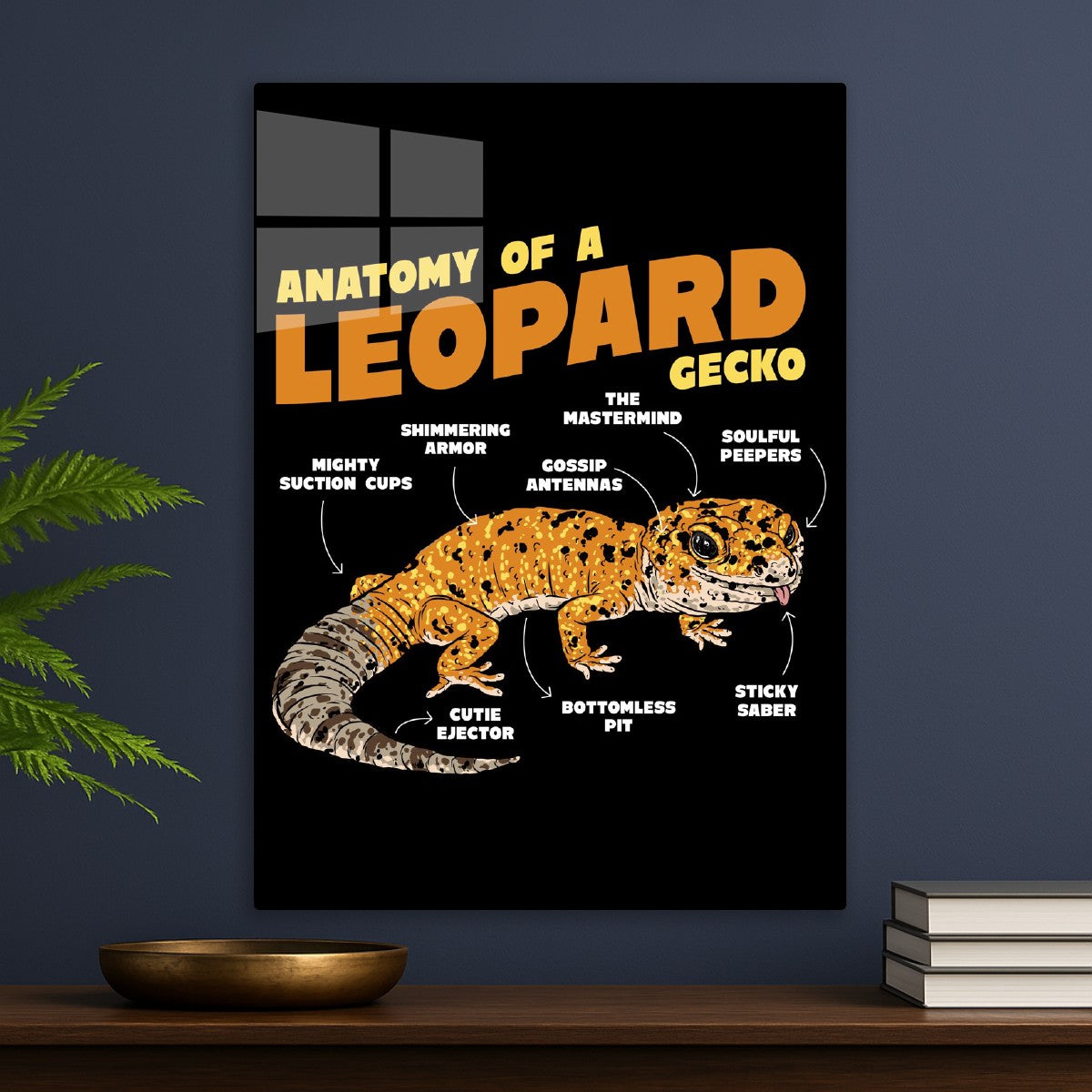 Leopard Gecko  Anatomy
