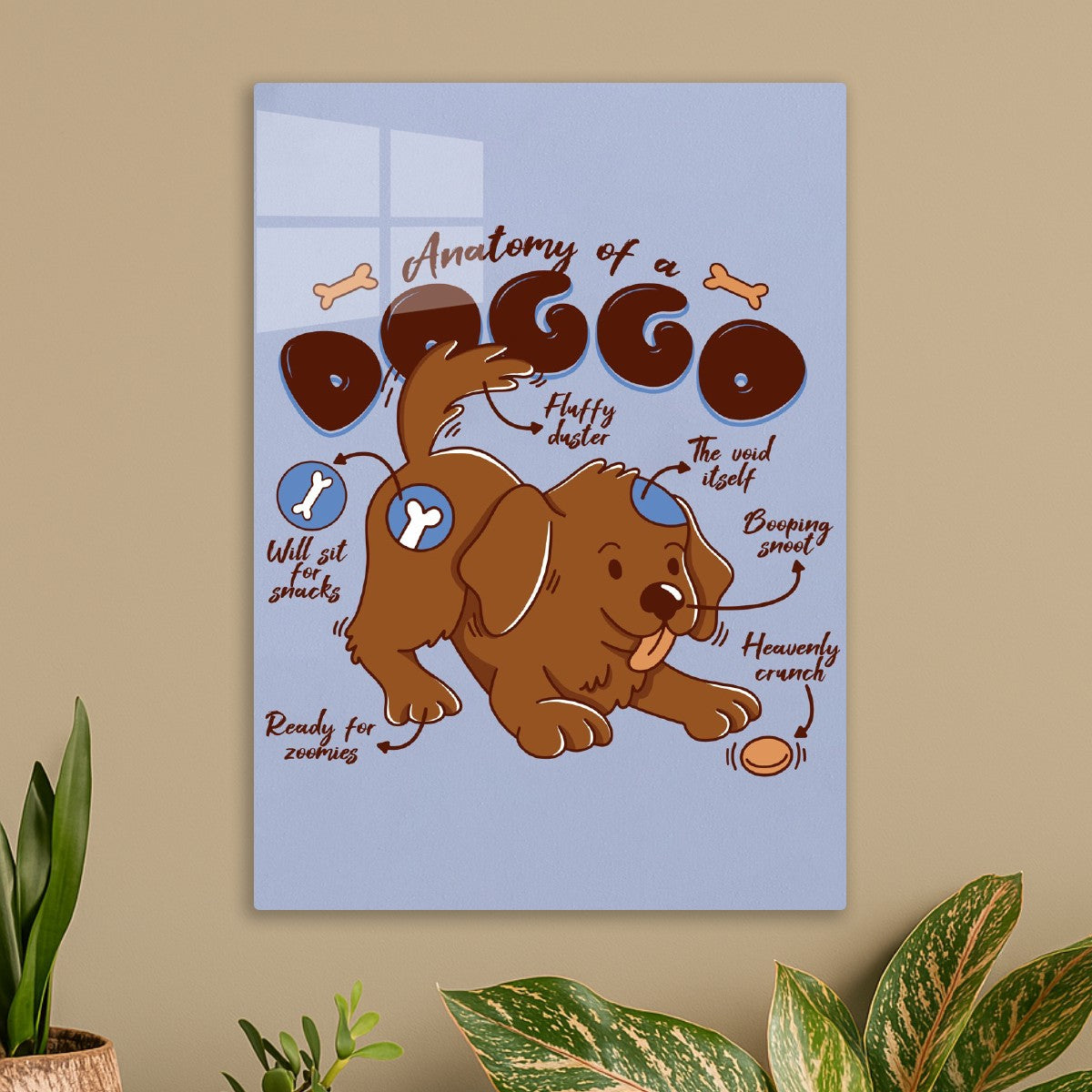 Doggo Anatomy Funny