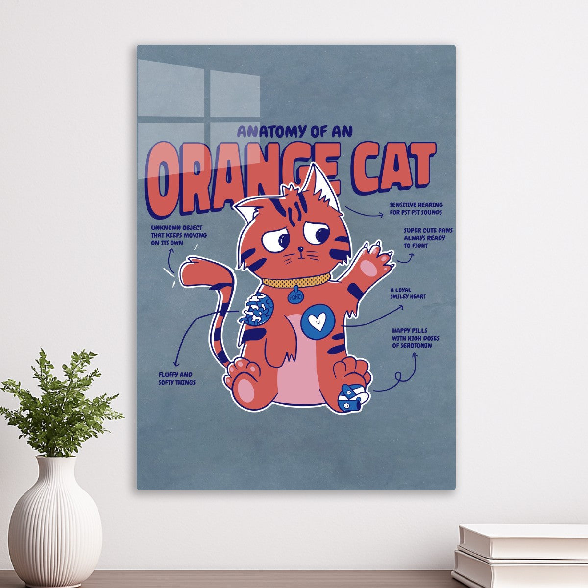 Orange Cat Anatomy
