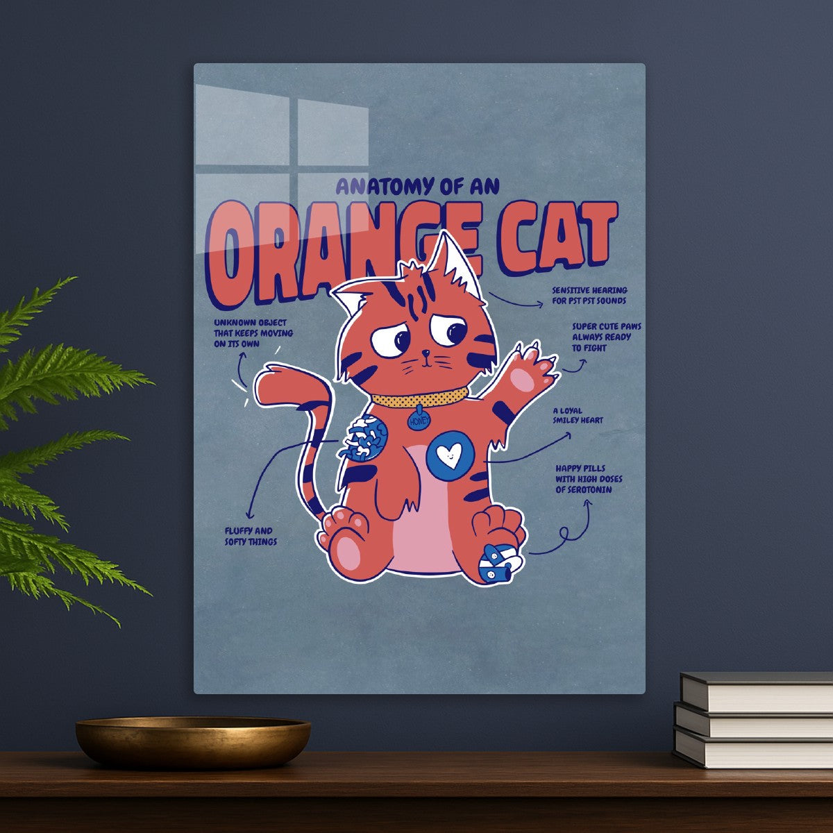 Orange Cat Anatomy