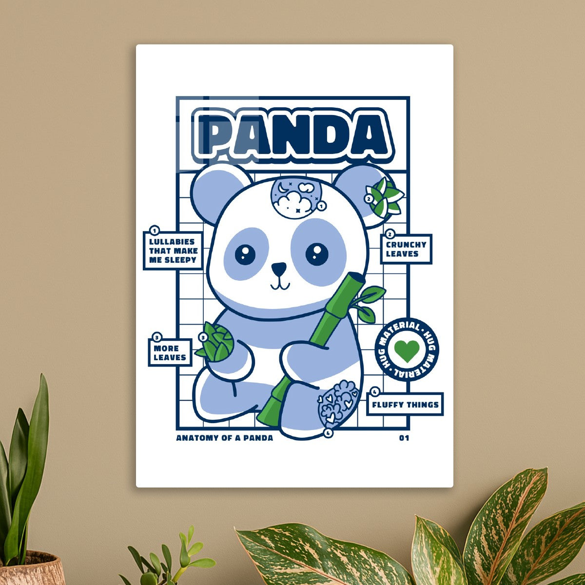 Cute Panda Anatomy