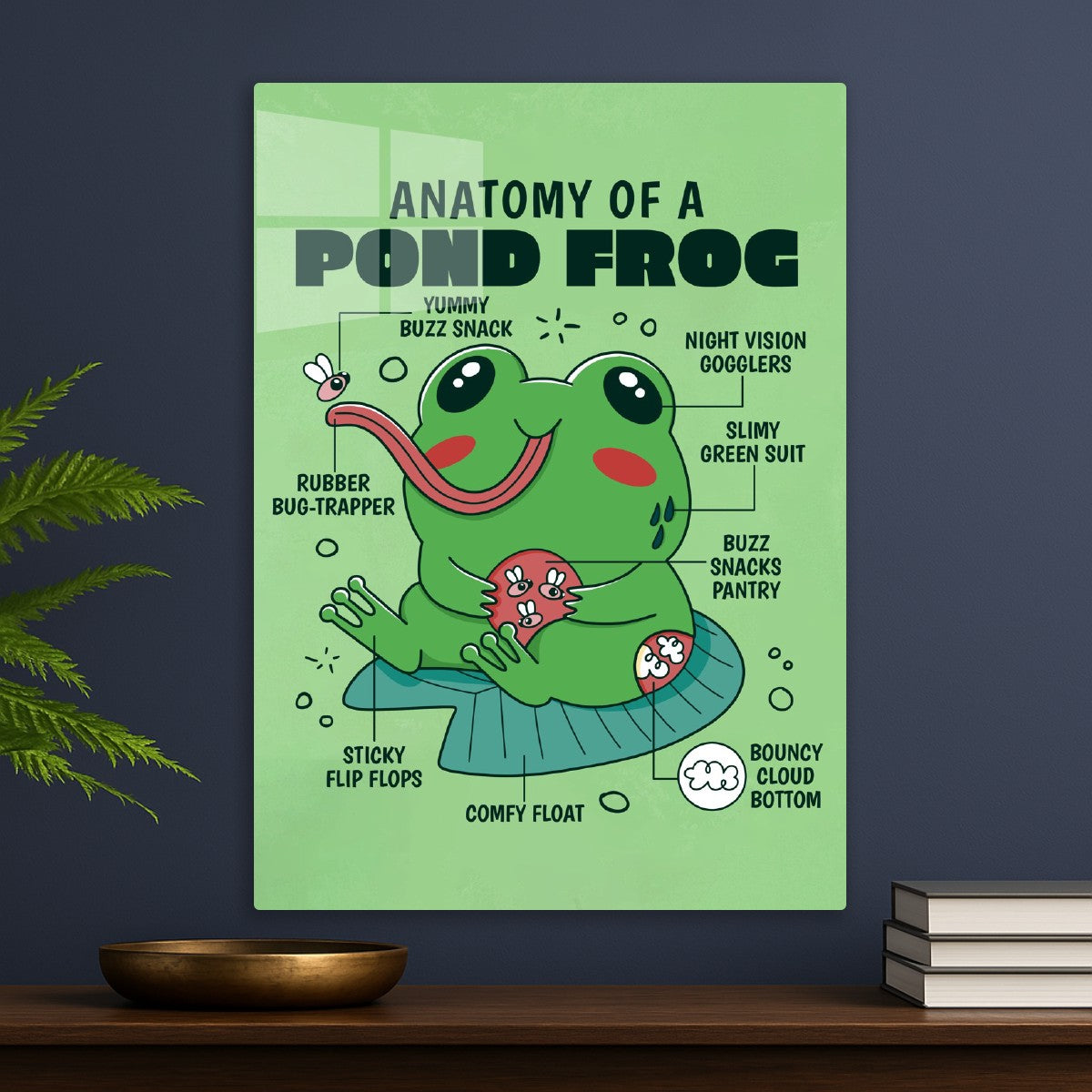 Cute Frog Anatomy
