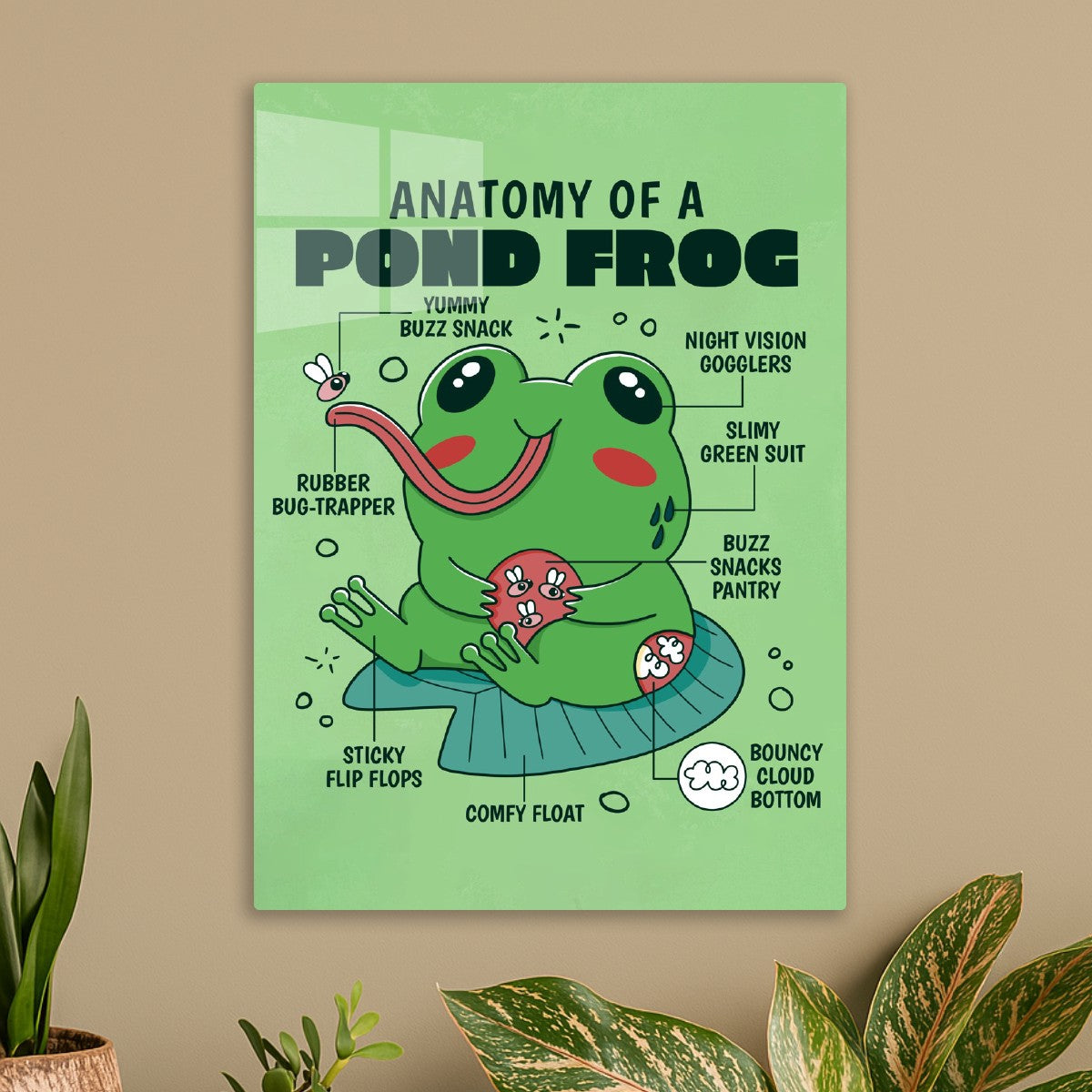 Cute Frog Anatomy