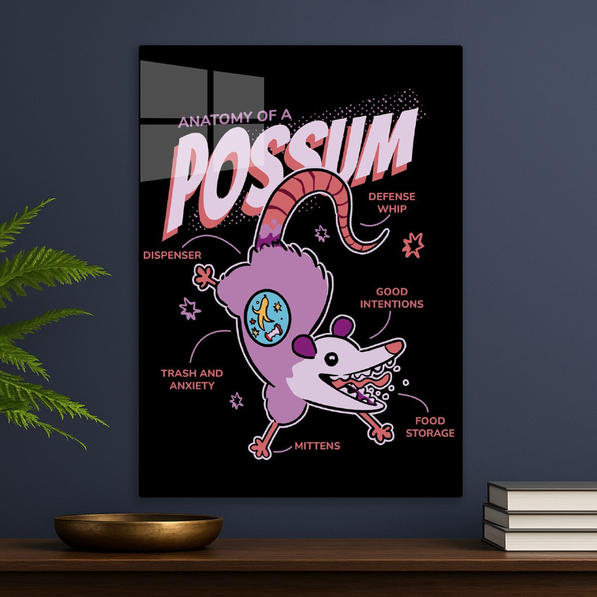Possum Trash Anatomy