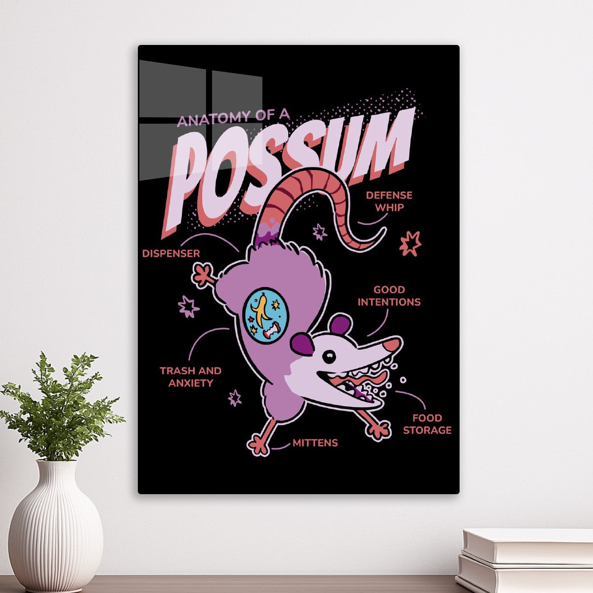 Possum Trash Anatomy