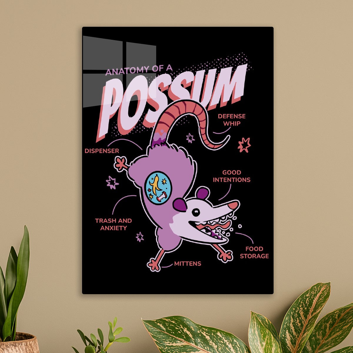Possum Trash Anatomy