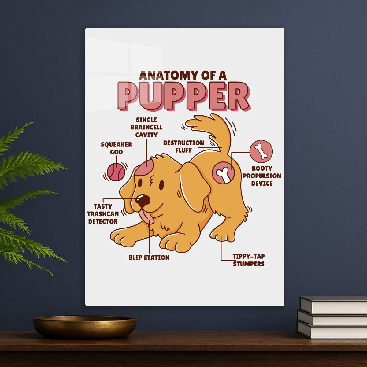 Cute Pupper Anatomy