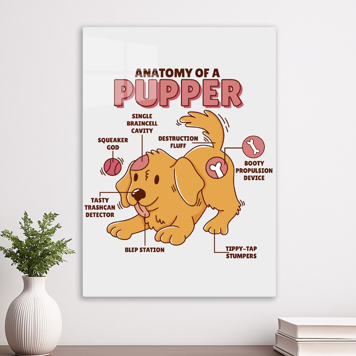 Cute Pupper Anatomy