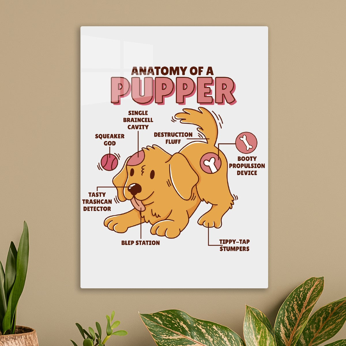 Cute Pupper Anatomy