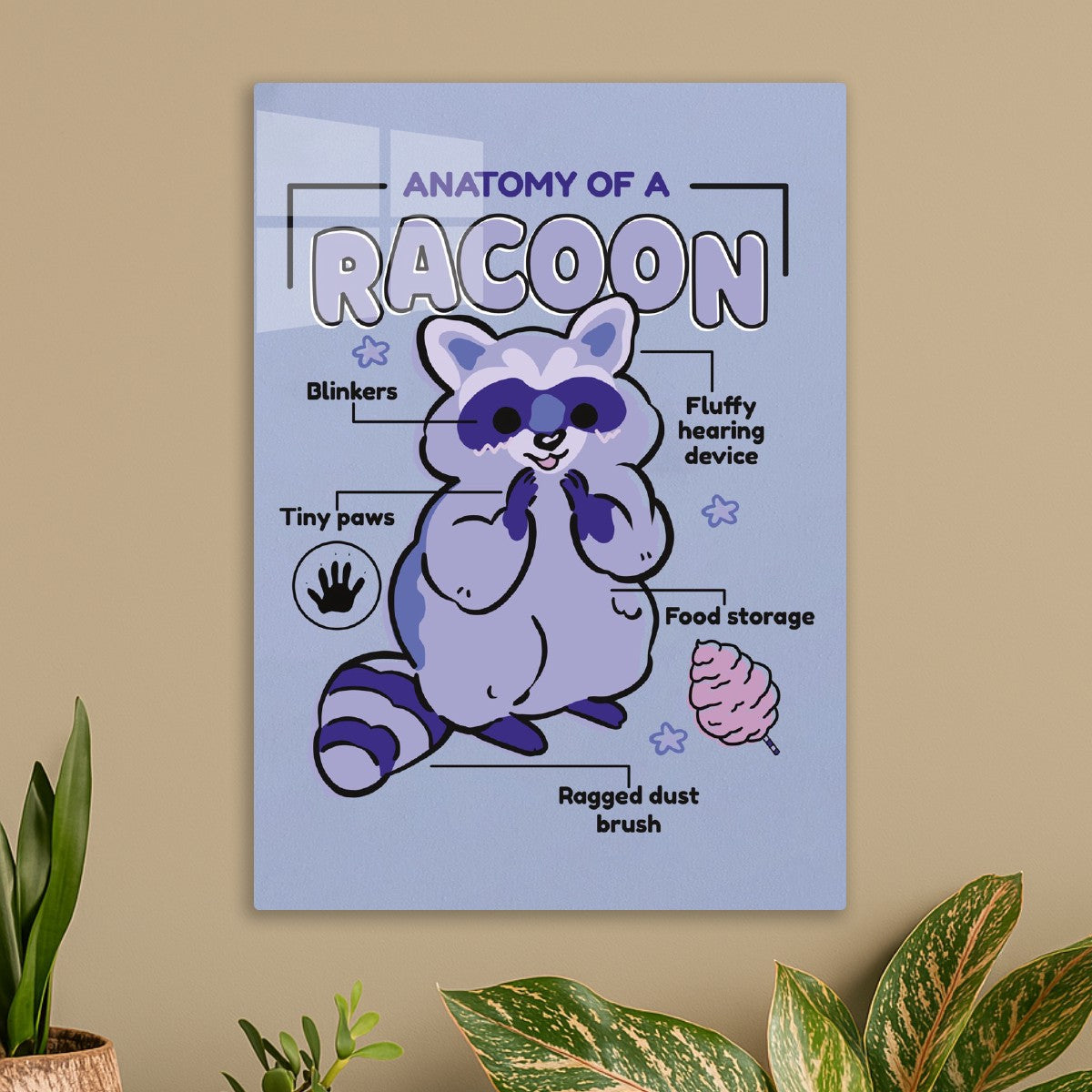 Cute Raccoon Anatomy