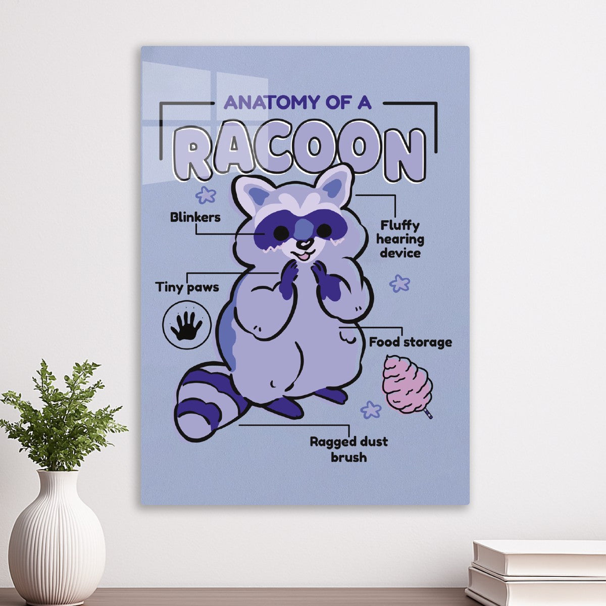 Cute Raccoon Anatomy