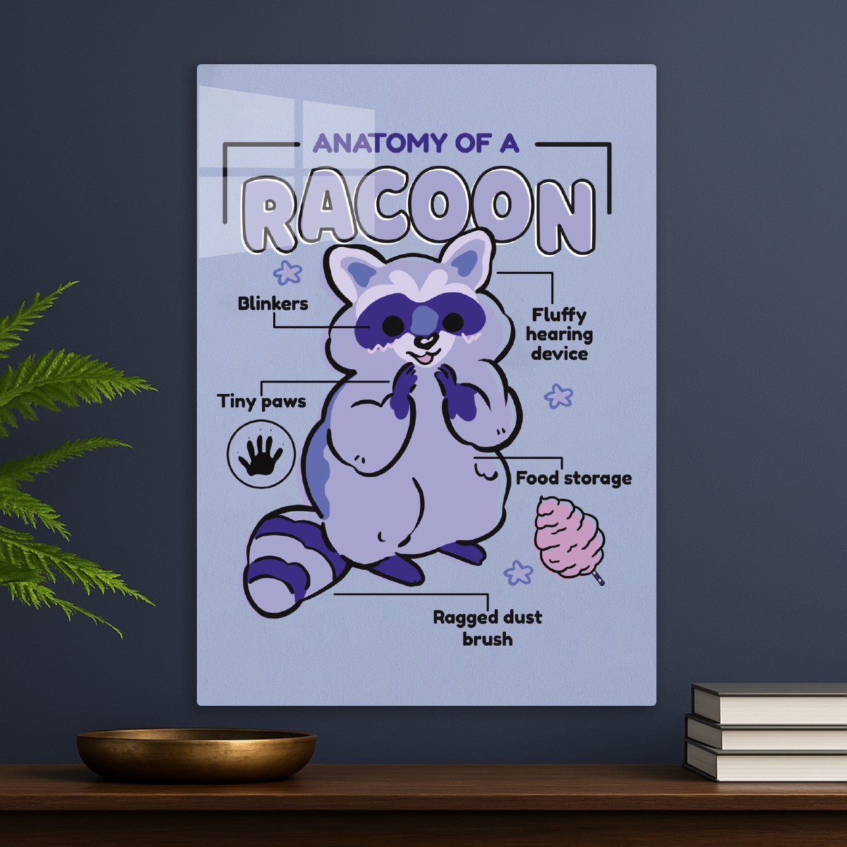 Cute Raccoon Anatomy
