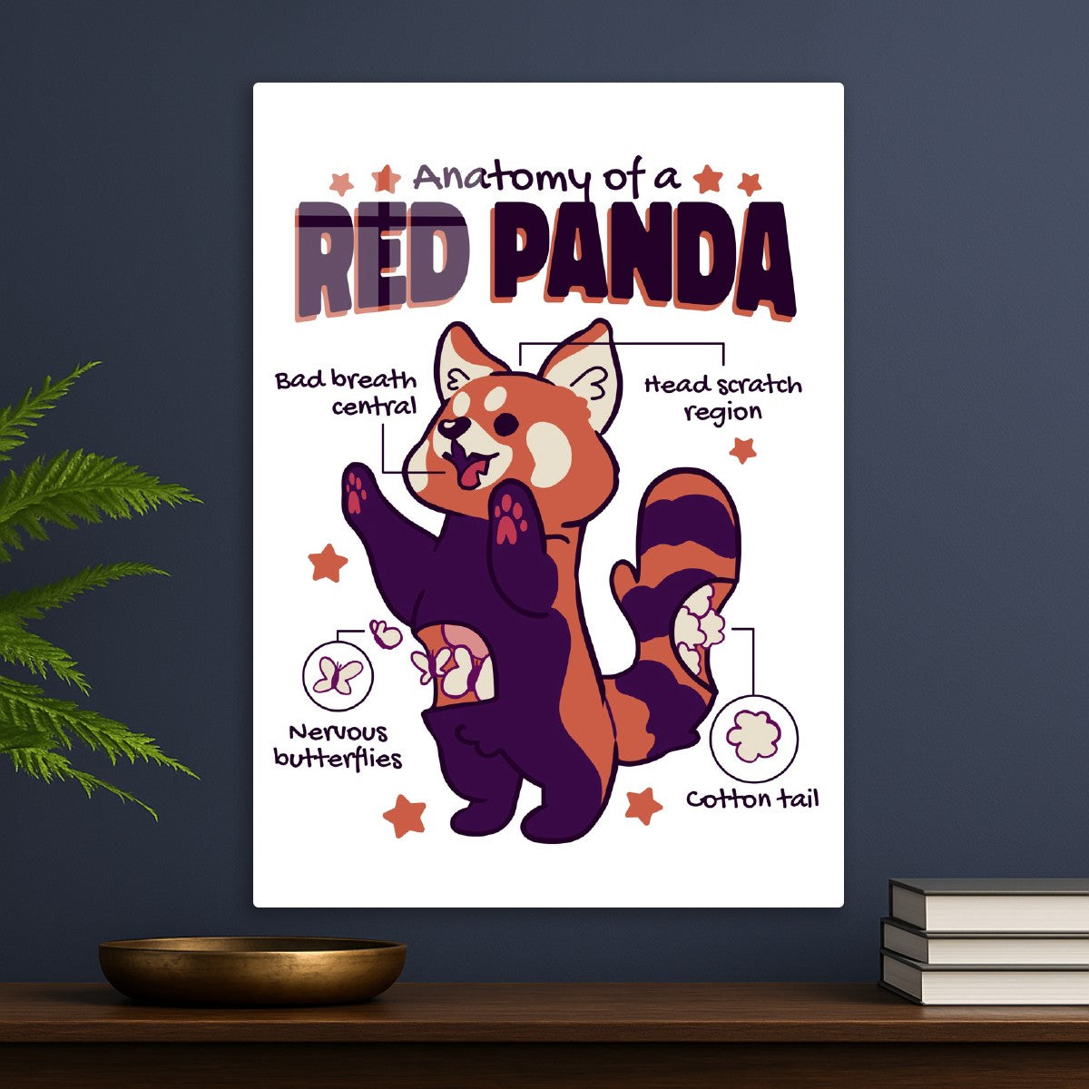 Cute Red Panda Anatomy