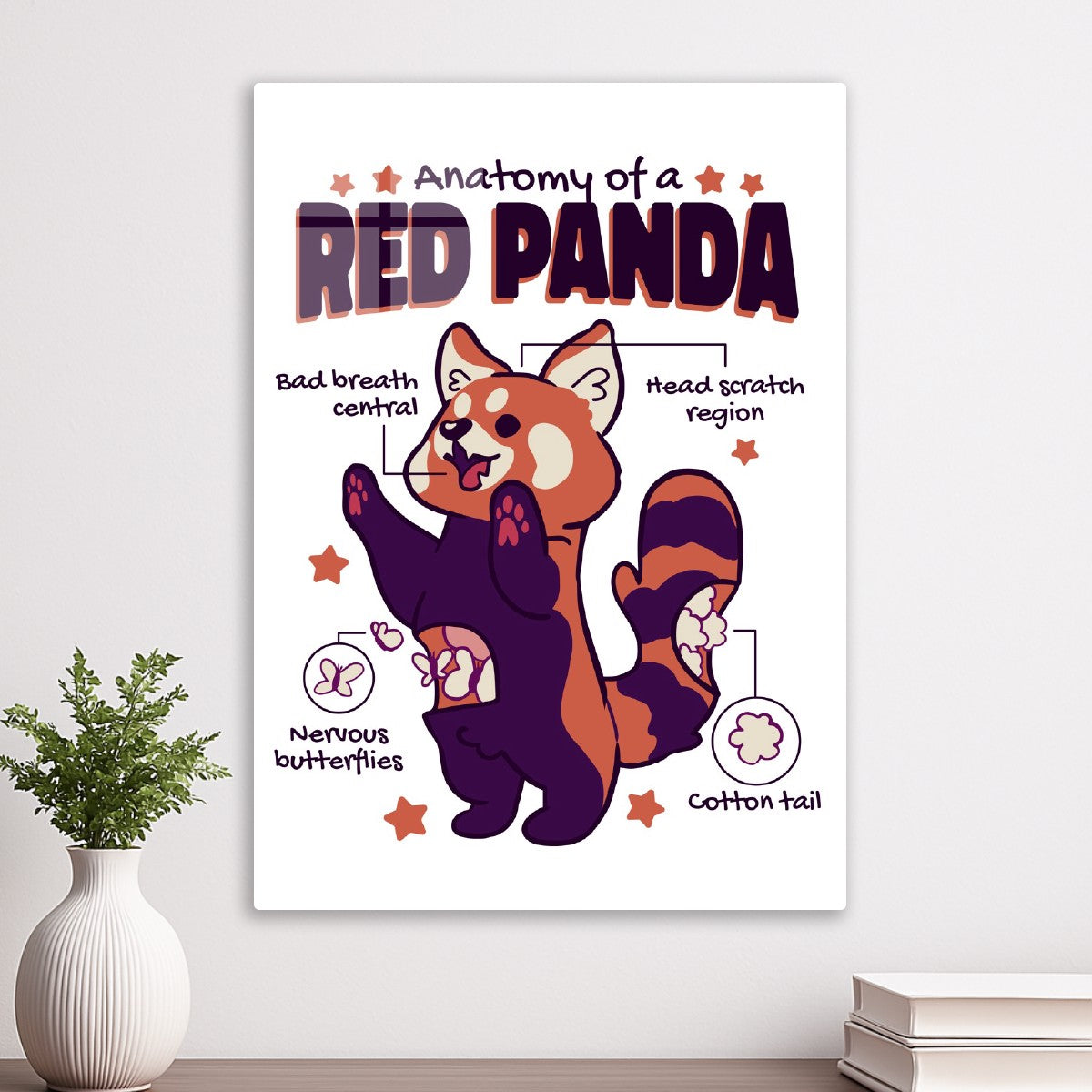 Cute Red Panda Anatomy