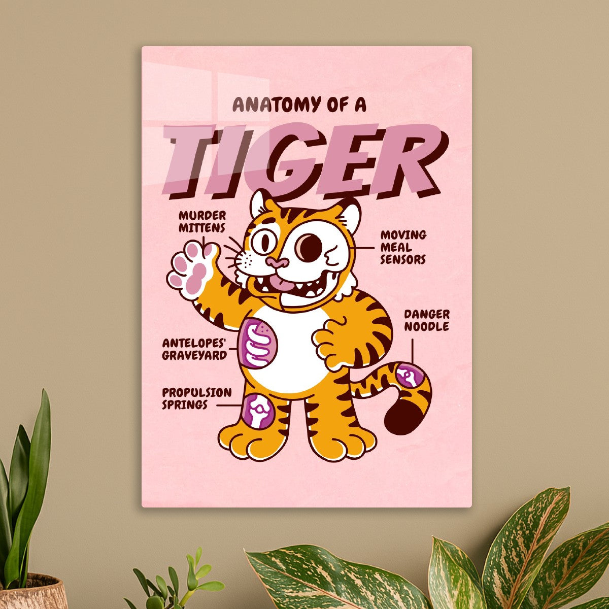 Cute Tiger Anatomy