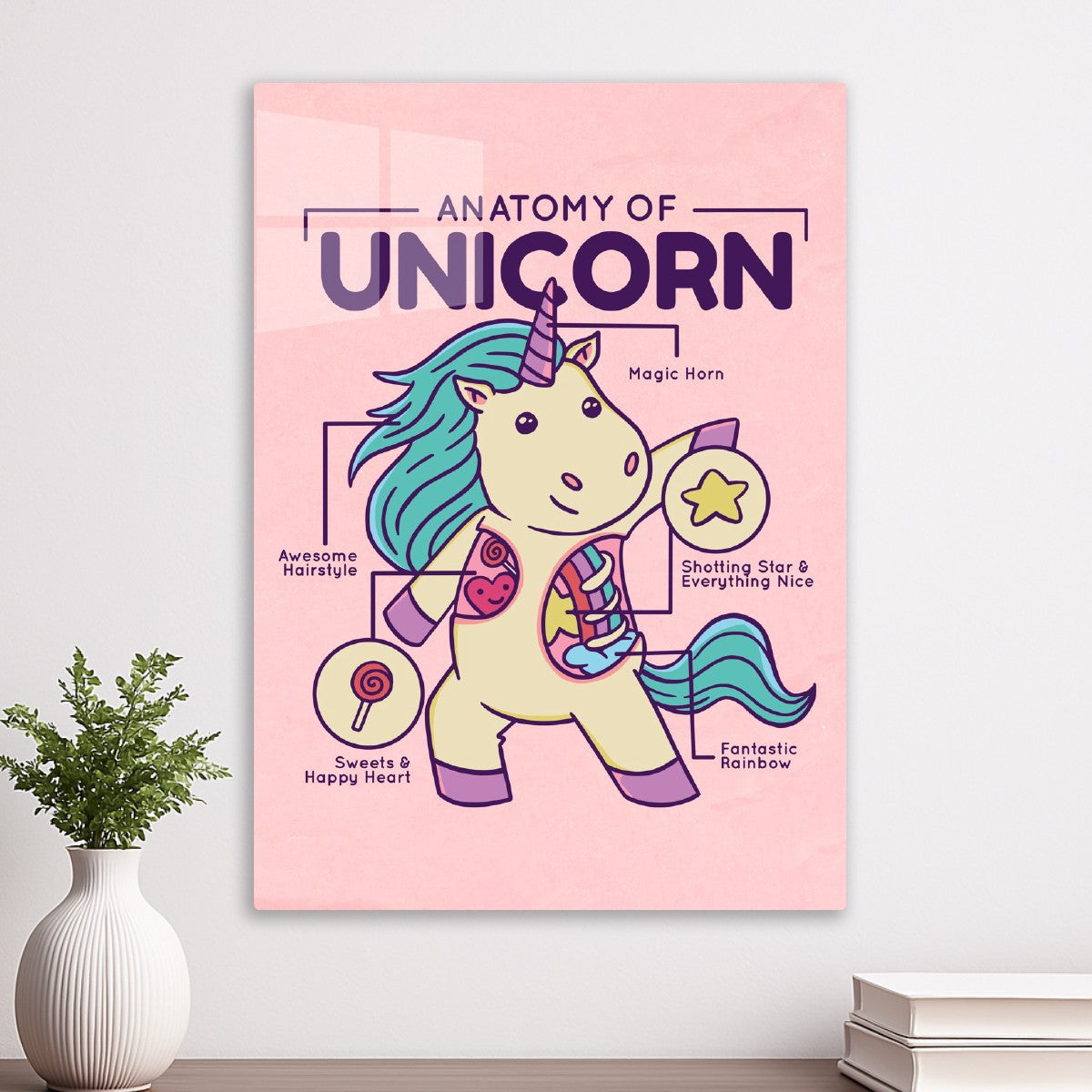 Cute Unicorn Anatomy