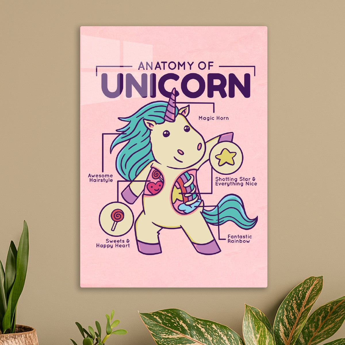Cute Unicorn Anatomy