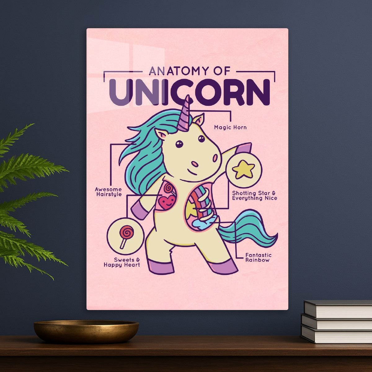 Cute Unicorn Anatomy