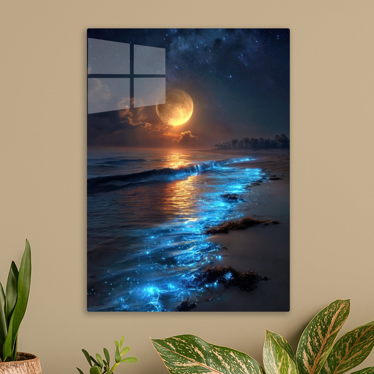 Bioluminescence Under Stars