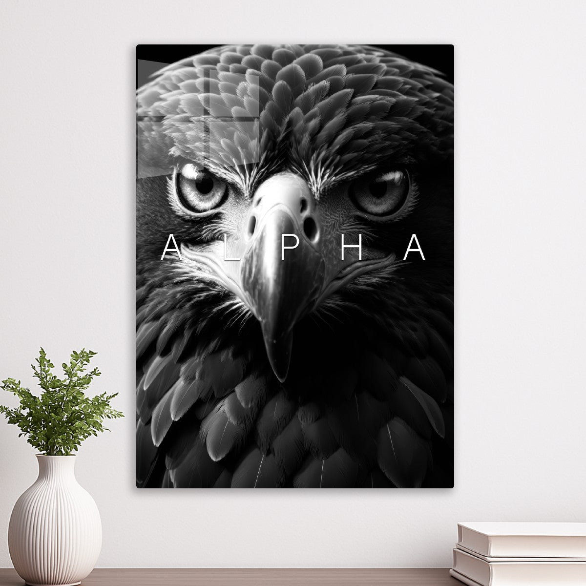 Alpha eagle wild black face