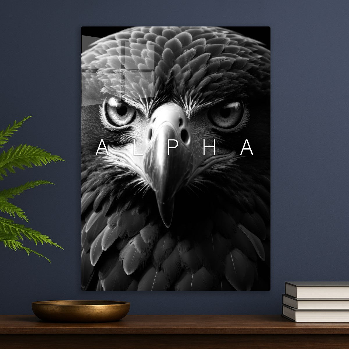 Alpha eagle wild black face