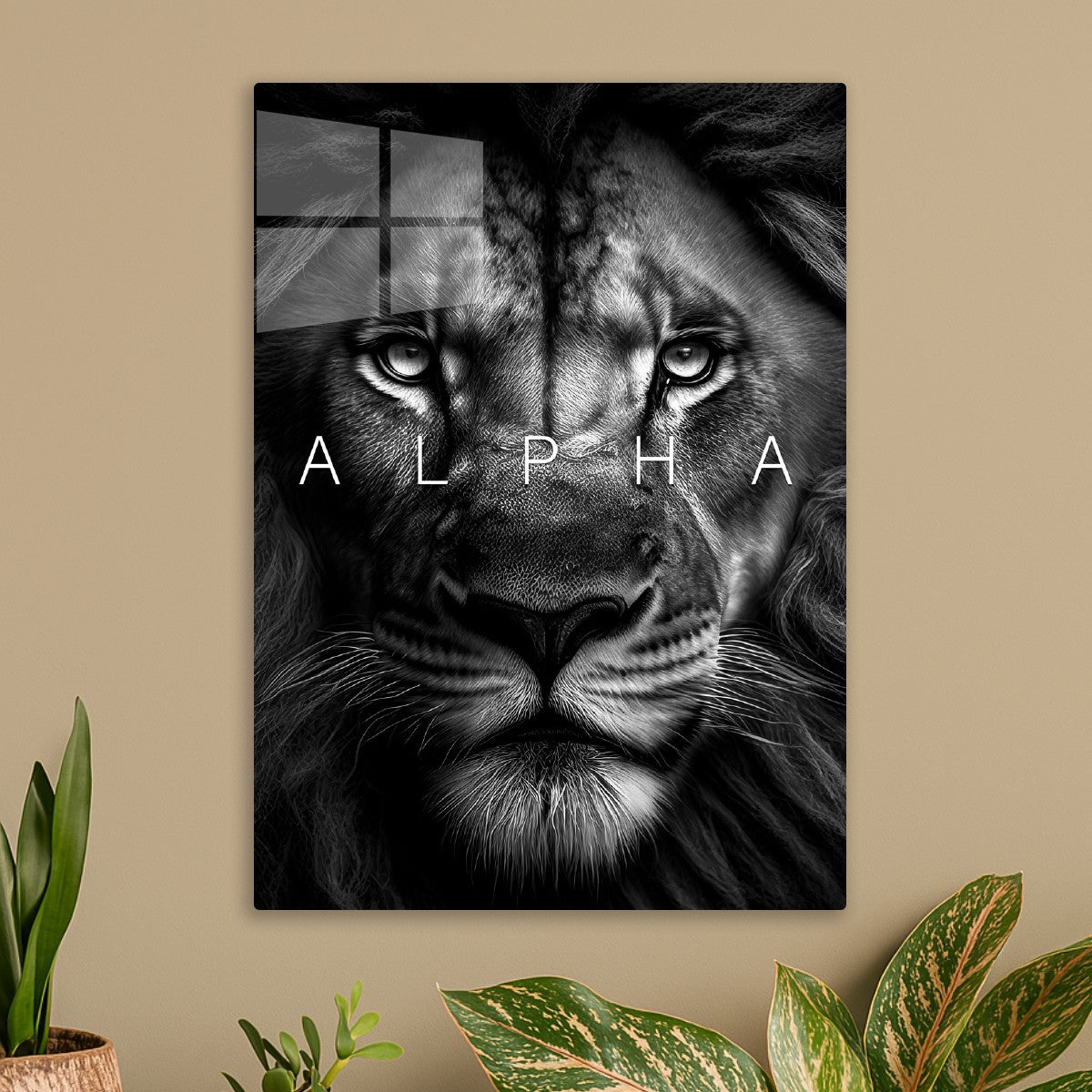 Black lion face alpha