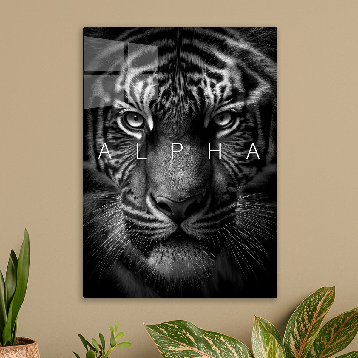 Wild tiger face alpha