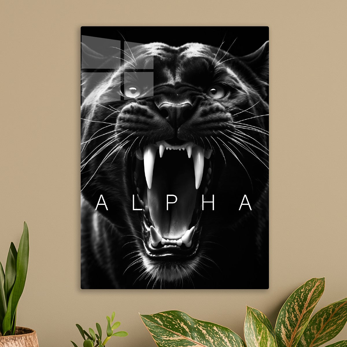 Black panther angry alpha