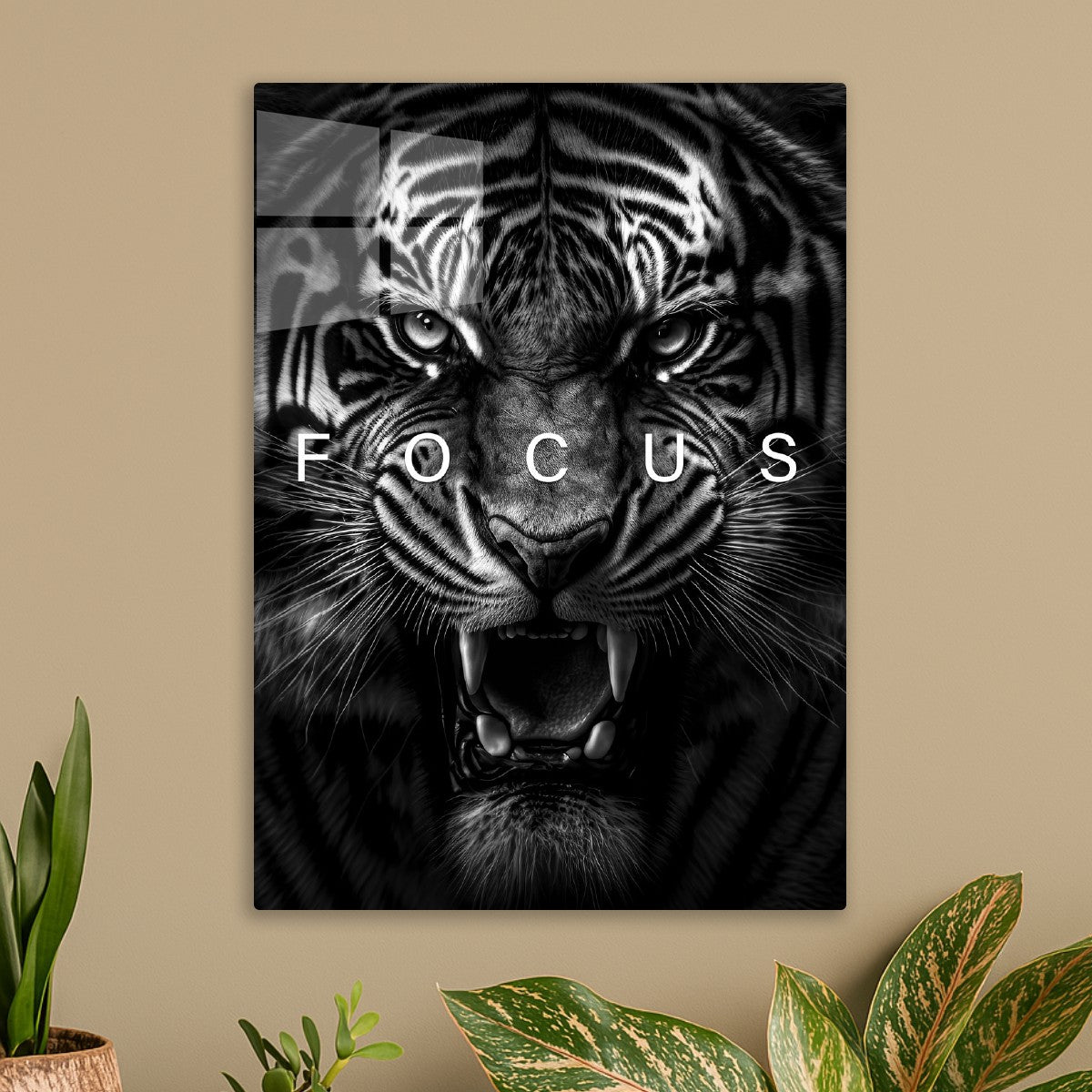 Wild tiger angry face alpha