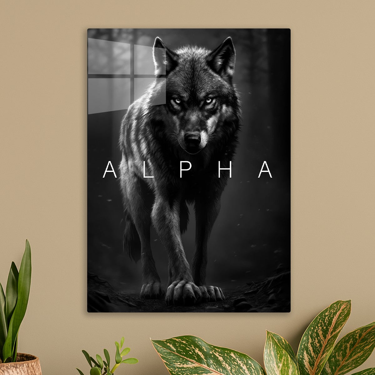 Wild wolf alpha